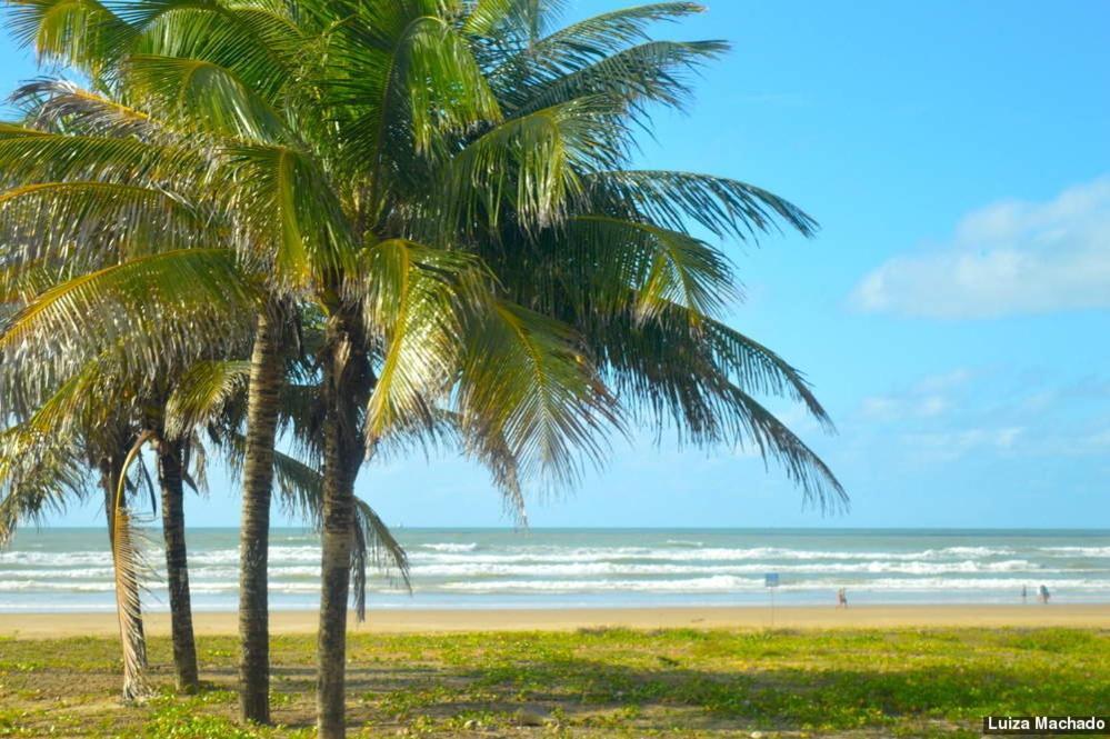 Aruana Beach Flat - Seu Ape Na Praia De Aruana, Aracaju! Exterior foto